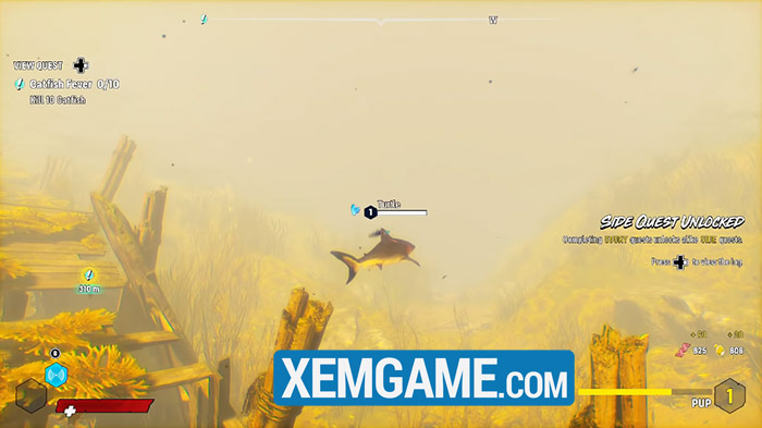 Maneater miễn phí - Tải về ngay tựa game nhập vai cá mập, đắm mình dưới dòng nước ấm 
