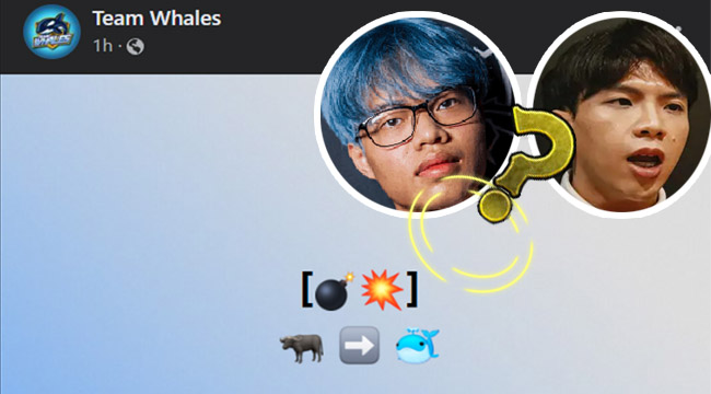 LMHT: Team Whale bật mí sẽ có vụ nổ chuyển nhượng từ Saigon Buffalo
