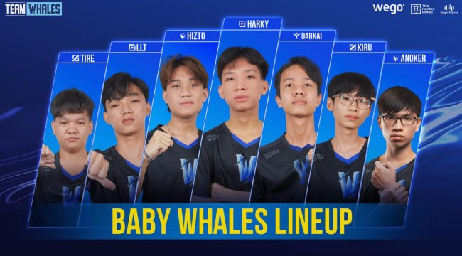 Team Whales ra mắt đội hình “baby”, VCS chuẩn bị có giải trẻ?