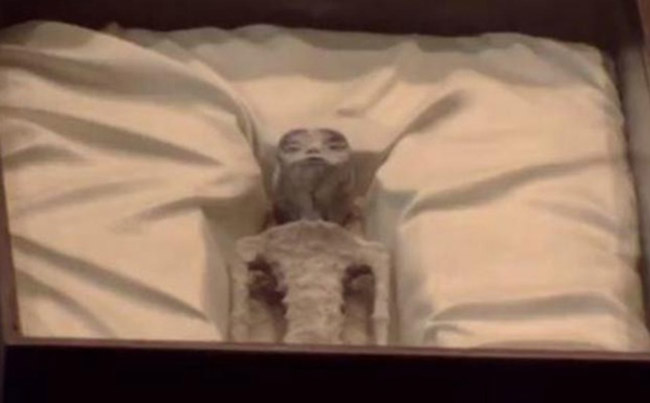 Mẫu vật người ngoài hành tinh 1000 năm tuổi được trưng bày ở Mexico