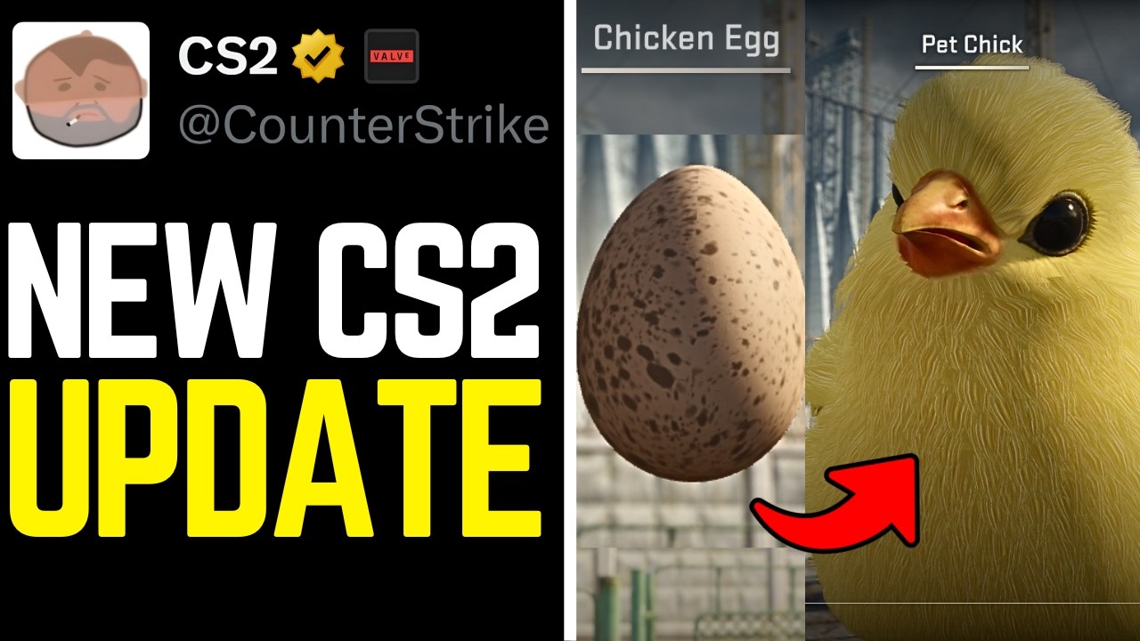 Counter-Strike 2 bất ngờ ra mắt chế độ 3v3, game thủ còn có thể nuôi gà làm thú cưng